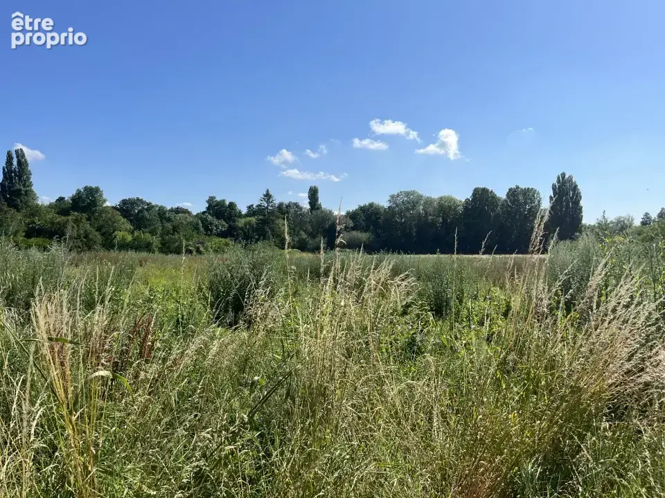 Terrain à LES DAMPS