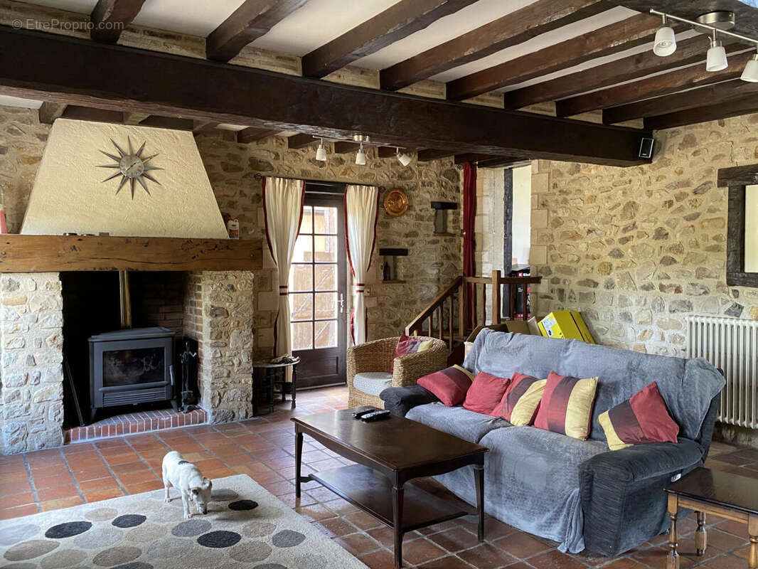 salon  - Maison à CHENAUD