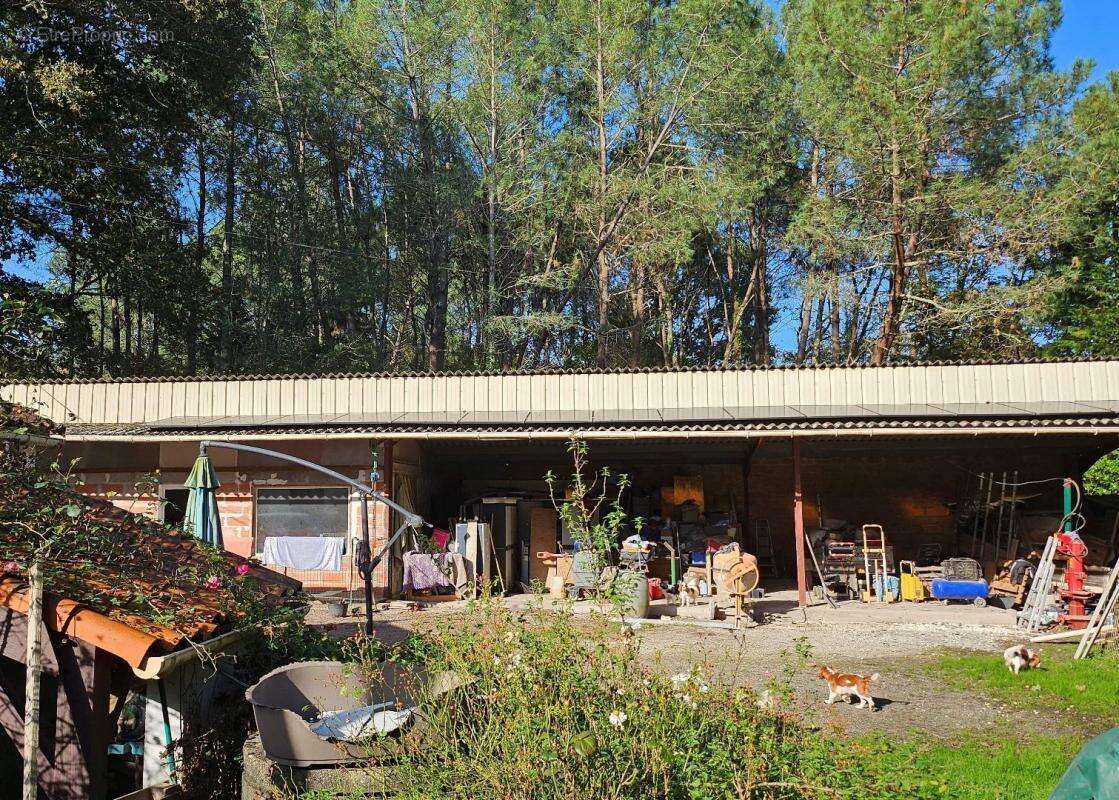 Terrain à BOISREDON