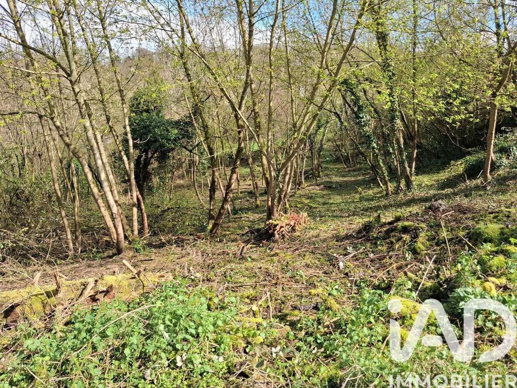 Photo 7 - Terrain à SAINT-GOBAIN