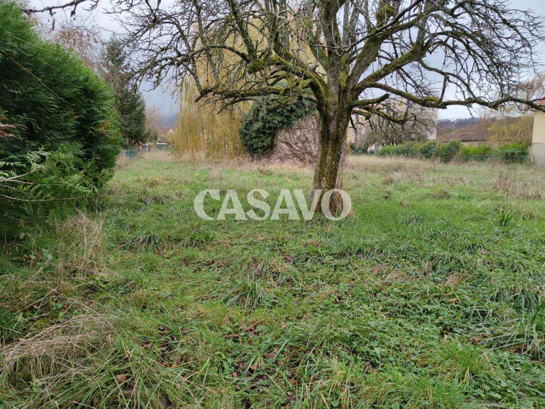 Maison à AMBERIEU-EN-BUGEY