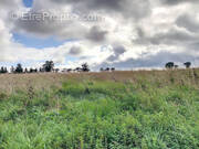 Terrain à SAINT-DENIS-DE-MERE