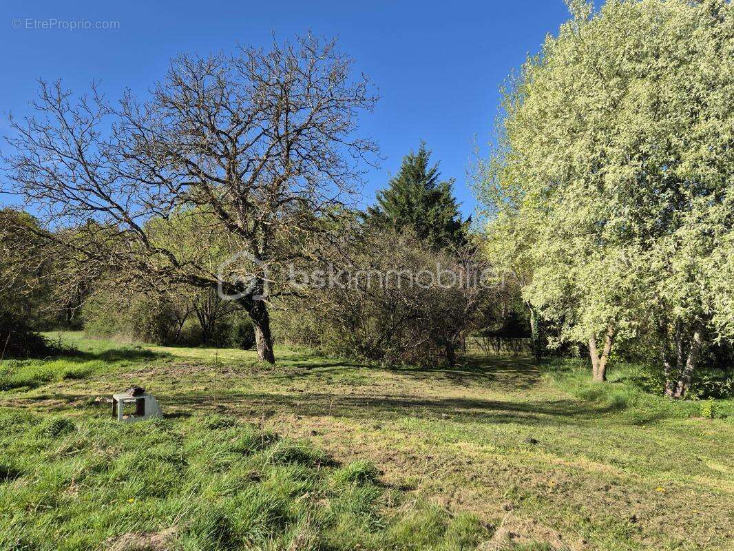 Maison de campagne 115m2 avec terrain sans voisinage - photo 4