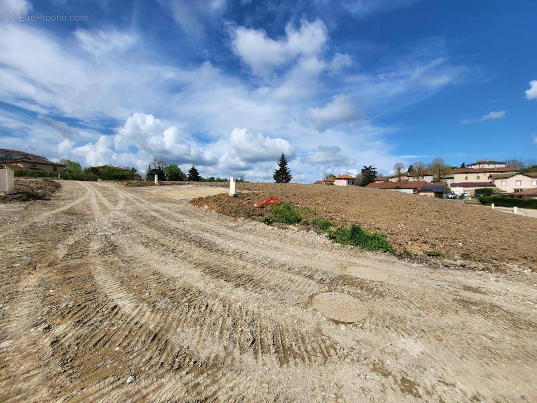 Terrain à CHALAMONT
