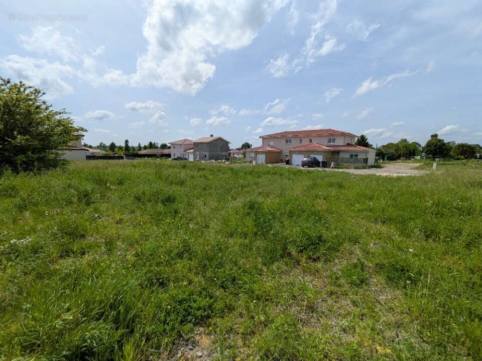 Terrain à DOMPIERRE-SUR-CHALARONNE