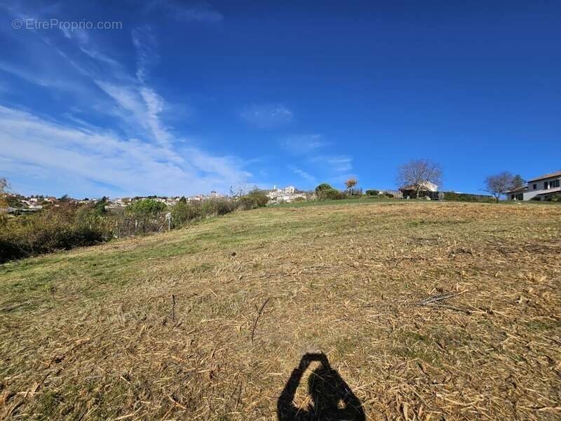 Terrain à VEYRE-MONTON