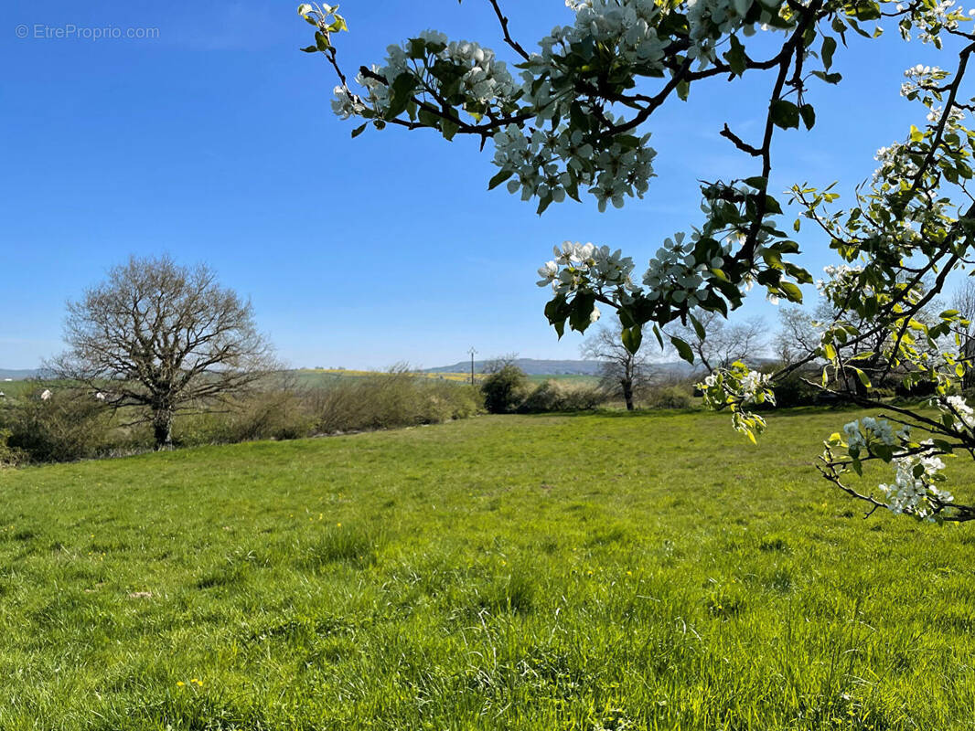 Terrain à MARCILLY-LES-BUXY