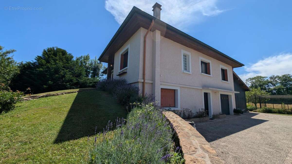Photo 2 - Maison à MONTAGNAT