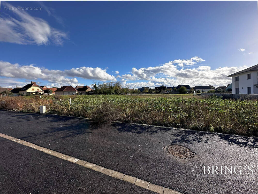 Terrain à MEYENHEIM