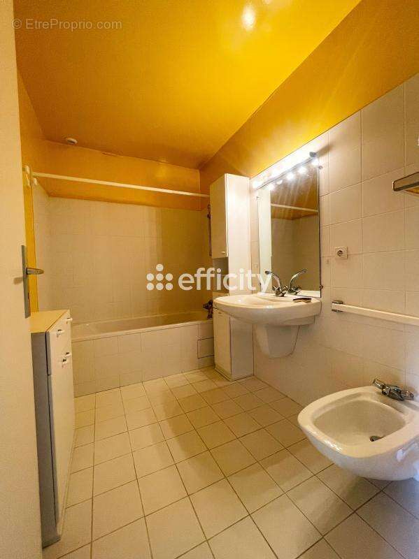 Maison 225 m² à Le Mas-D'azil  - photo 10