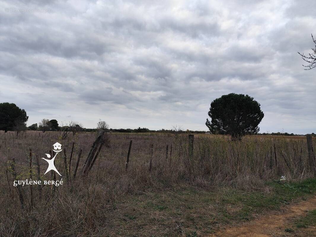 Terrain à AIMARGUES