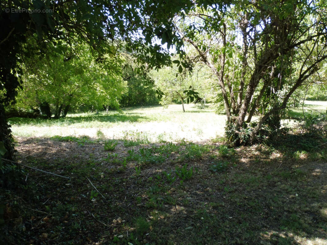 Axe riberac  perigueux - photo 8