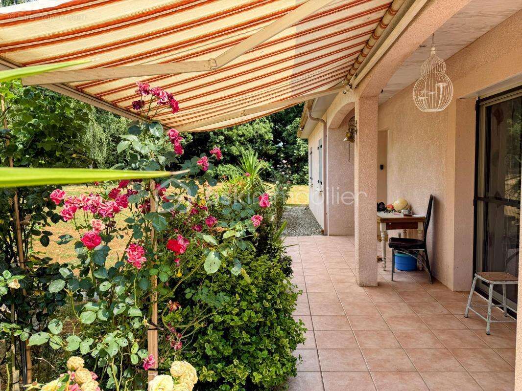 Propriété avec maison de plain-pied et son studio et son beau terrain de 3333 mètres avec piscine de 9X4 à l'abri des regards - photo 27