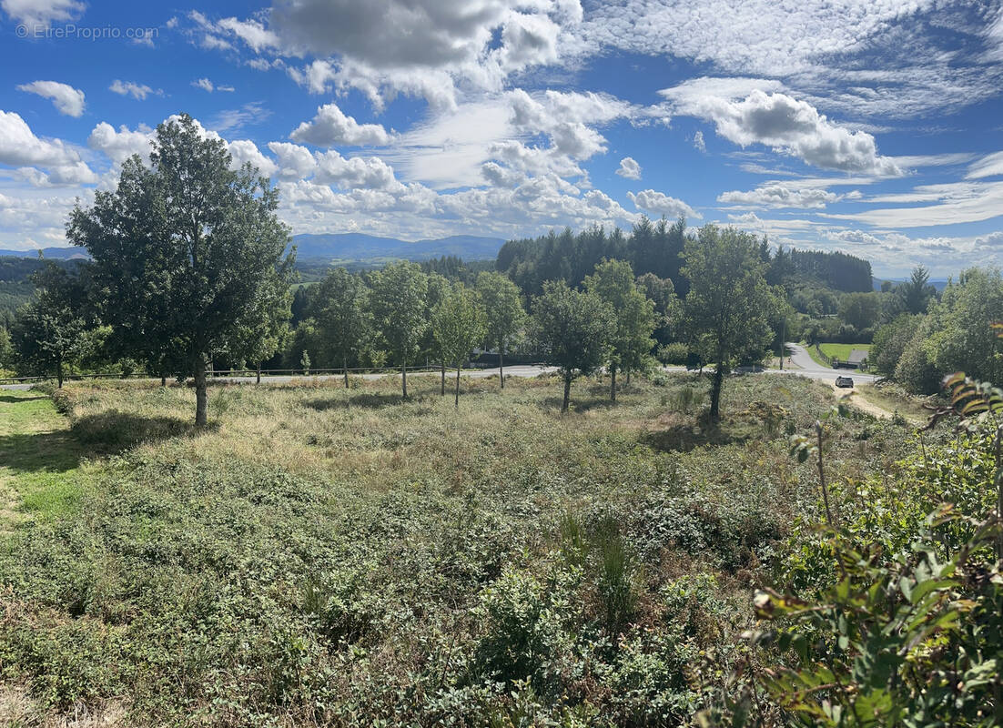 Terrain à PALLADUC