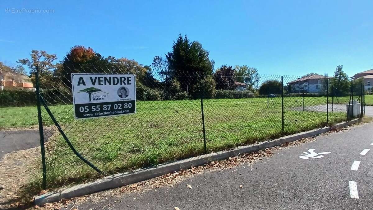 Terrain à DAX