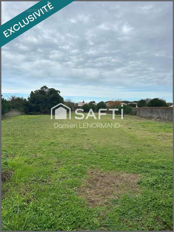 Photo 3 - Terrain à SAINT-PIERRE-D&#039;OLERON