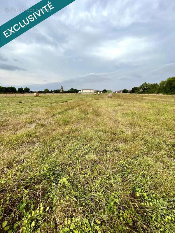 Photo 6 - Appartement à MANGIENNES