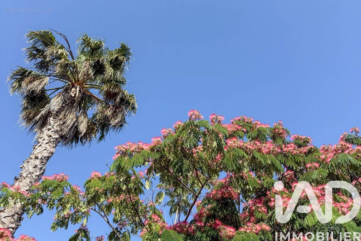 Photo 1 - Maison à TOULON