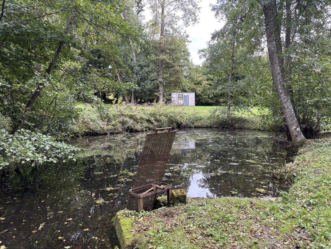 Terrain à SAINTE-CEROTTE