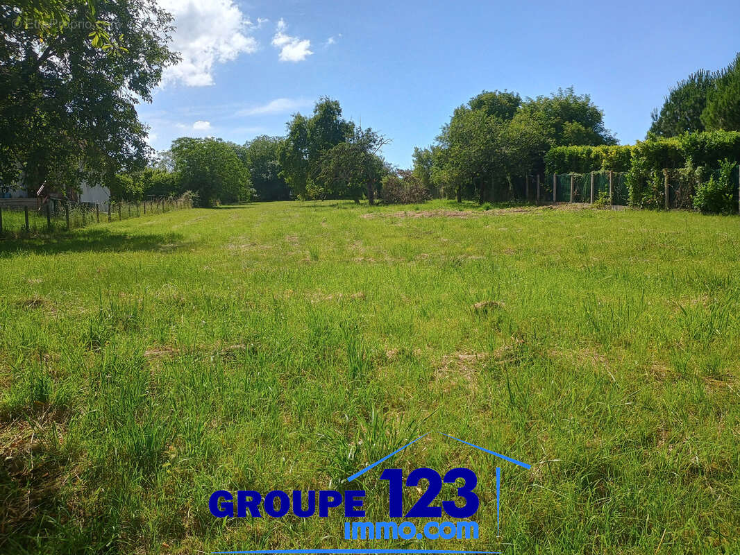 Terrain à AILLANT-SUR-THOLON