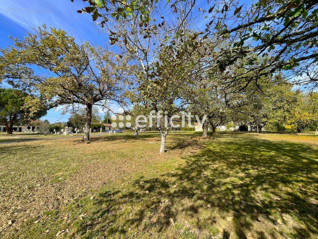 Maison à MOULIN-NEUF