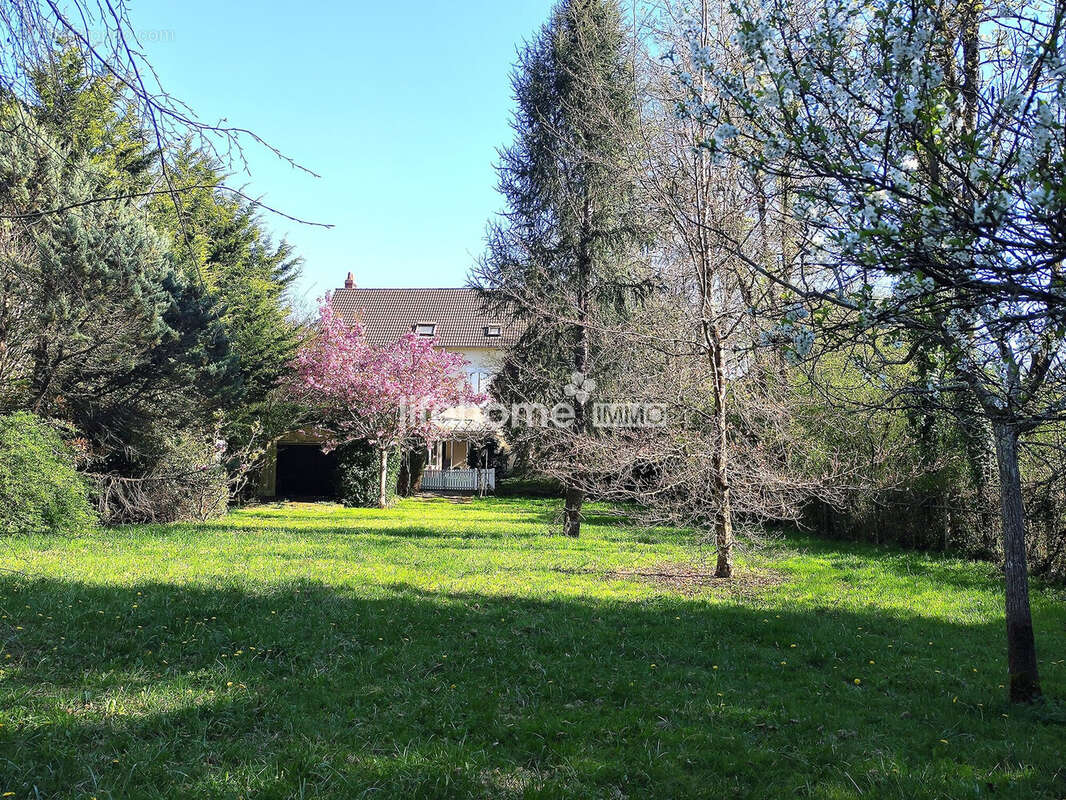 Maison 295 m² à Vierzon  - photo 9