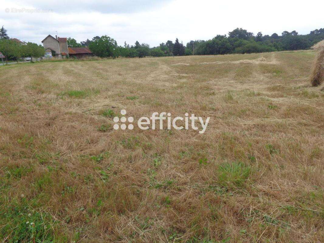 Terrain 2542 m² à Saint-Gery  - photo 5