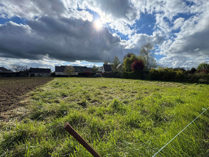 Terrain à SEICHES-SUR-LE-LOIR