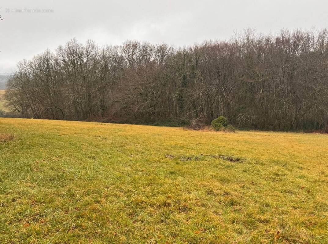 Terrain à PERIGUEUX