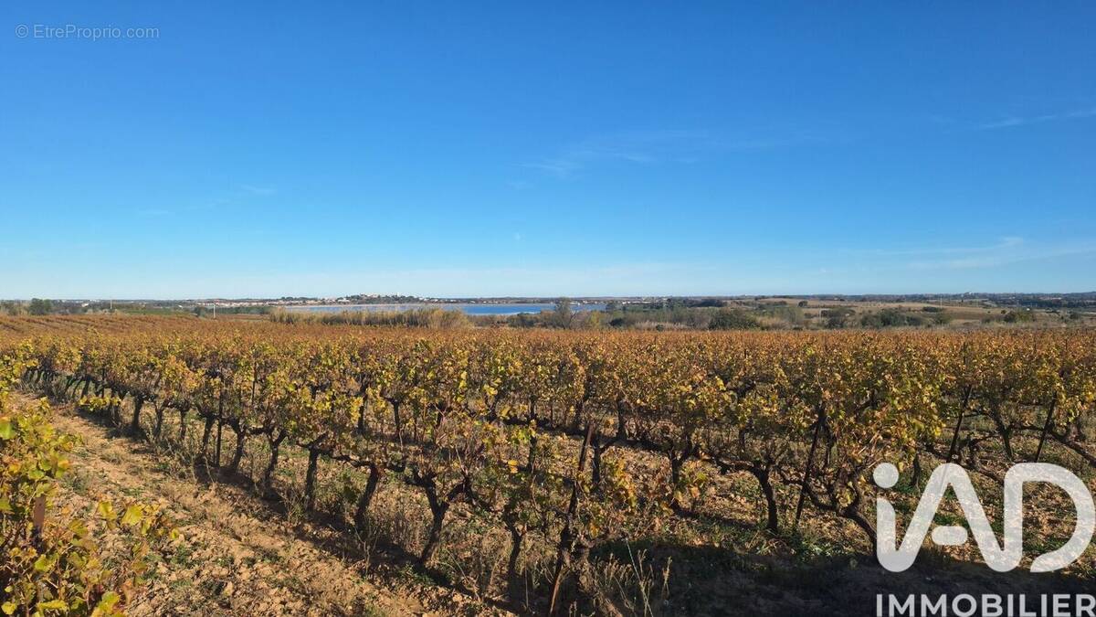 Photo 1 - Terrain à POLLESTRES