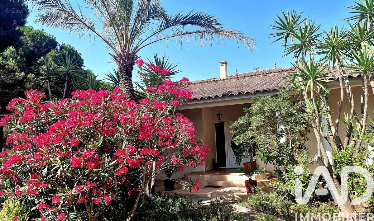 Photo 3 - Maison à AGDE