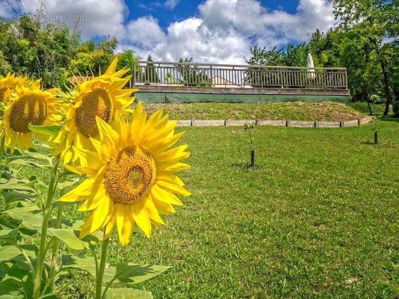 Maison à SALLES-LAVALETTE