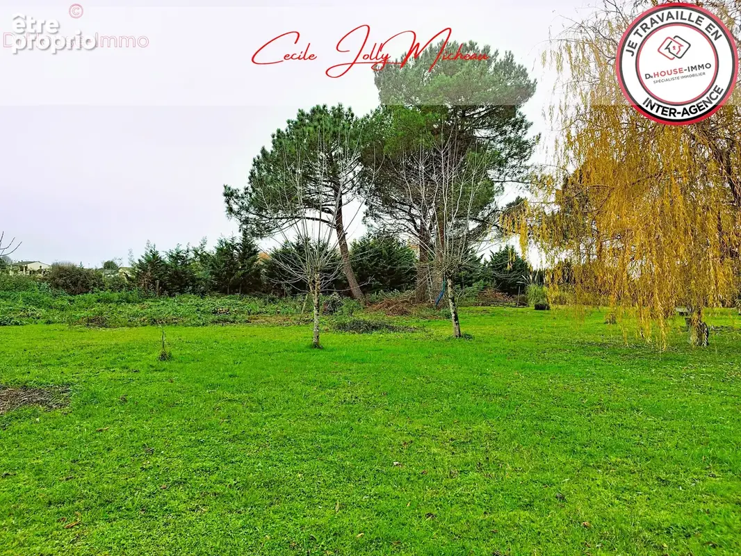 Terrain 3 000 m² à vendre à Cartelegue (33390) - photo 13