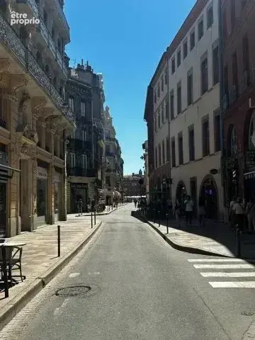 Toulouse, Capitole, T1 bis en chartreuse au calme absolu. - photo 12