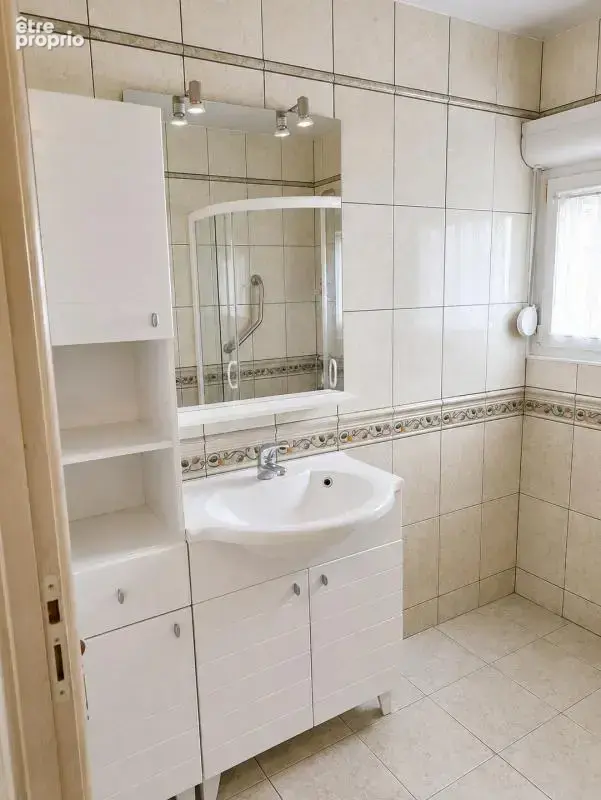 Dombasle-sur-meurthe - 3 pièce(s) - 85 m² - photo 4
