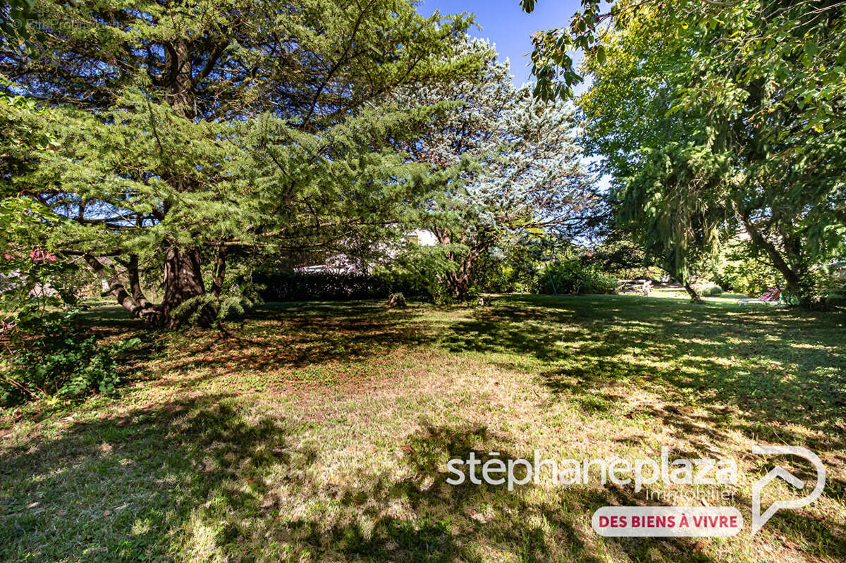 Terrain à SAINT-MAURICE-DE-GOURDANS