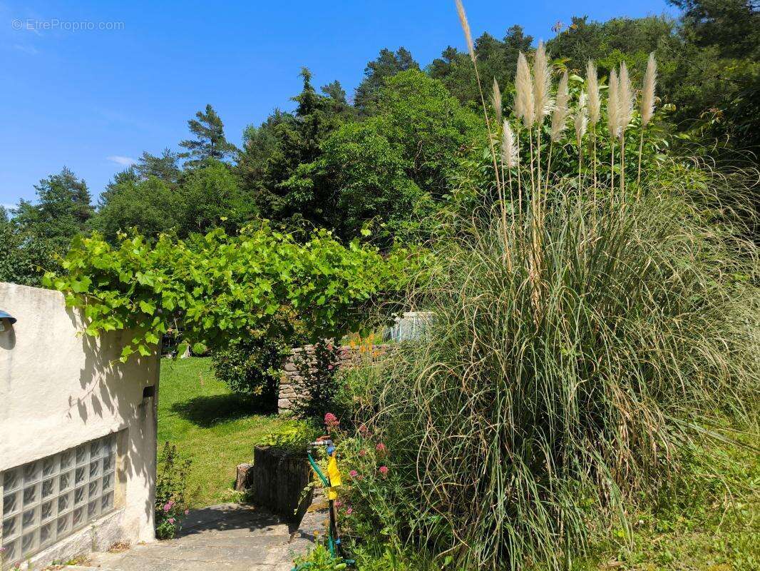 Maison en pierre  de 126 m2 terrain 5781 m2 + dependances+ gite - photo 4
