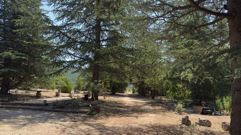 Grande propriété avec Piscine Naturelle - Élégance provençale entre Mont Ventoux et Luberon en EXCLUSIVITÉ - photo 5