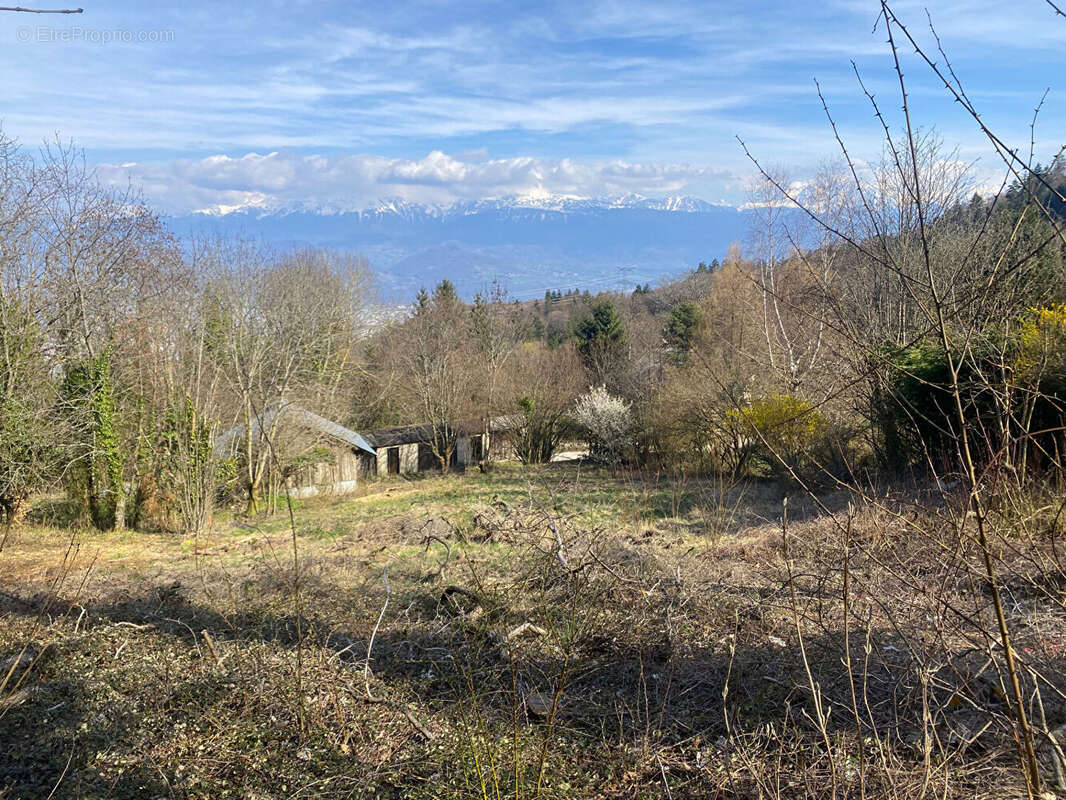 Terrain à SAINT-NIZIER-DU-MOUCHEROTTE