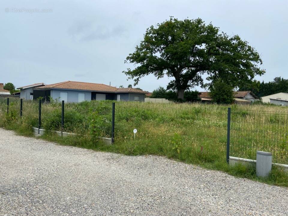 Terrain à SAINT-JEAN-D'ILLAC