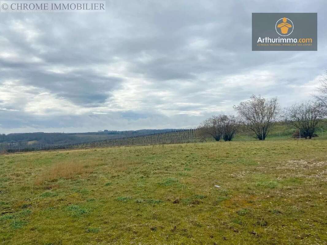 Terrain à PELLEGRUE