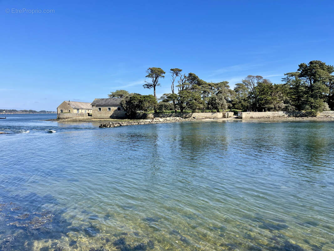 Terrain à LARMOR-BADEN