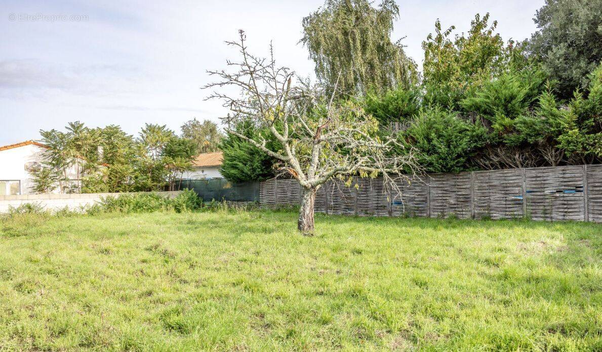 Terrain à SAINT-AUGUSTIN