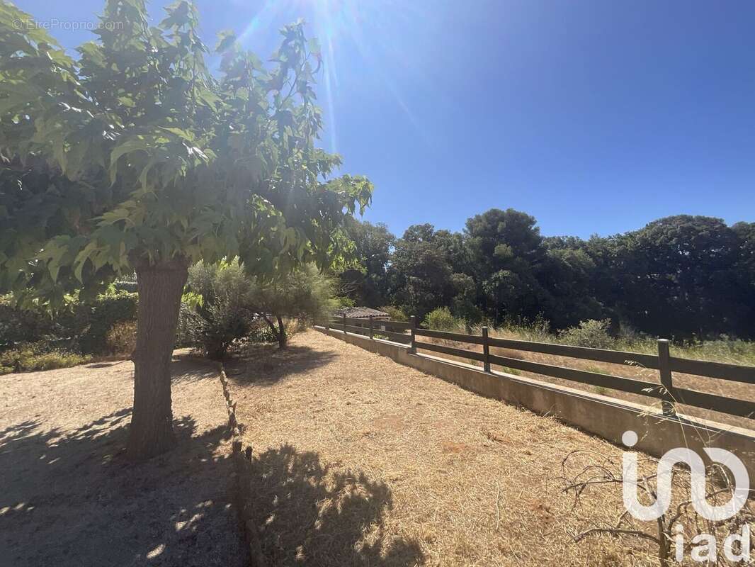 Photo 4 - Maison à SIX-FOURS-LES-PLAGES