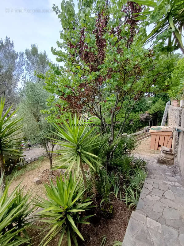 Peymeinade - Belle maison 5 pièces - photo 28