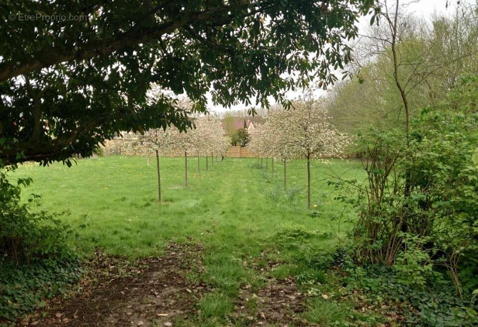 Terrain 438 m² à Saint-Remy-Les-Chevreuse  - photo 3