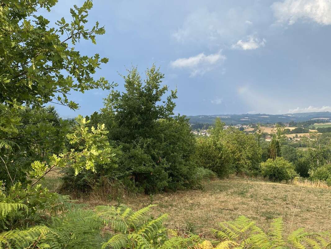 Maison 80 m² à Chateauneuf-La-Foret  - photo 8