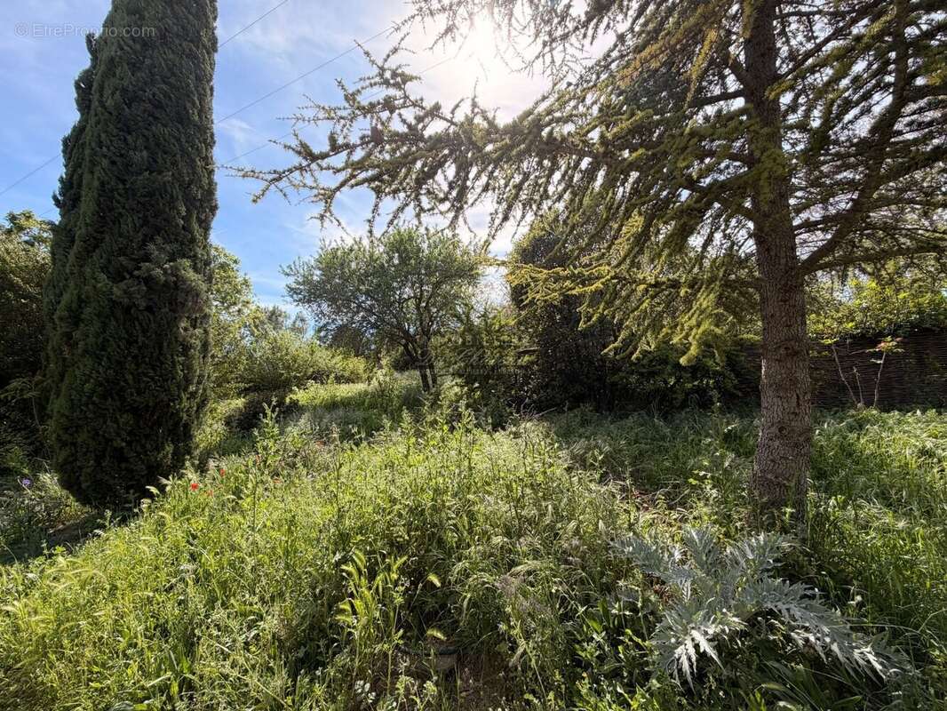 Terrain à CABRIERES-D'AVIGNON