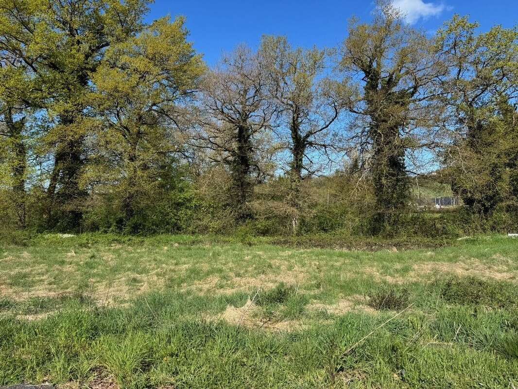 Terrain à MONTROZIER