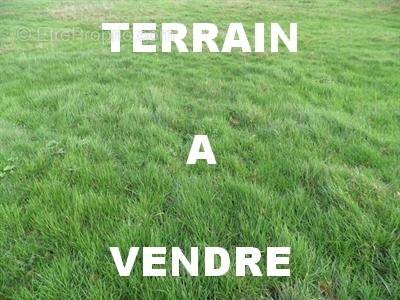 Terrain à LA BOISSIERE-DU-DORE